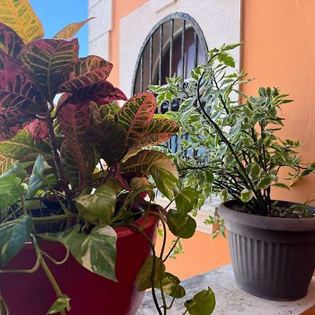Hotel Casa Mallorca Канкун Екстер'єр фото