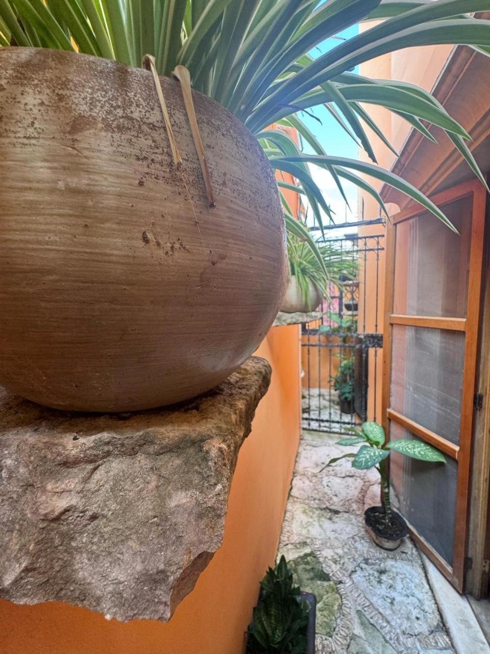 Hotel Casa Mallorca Канкун Екстер'єр фото