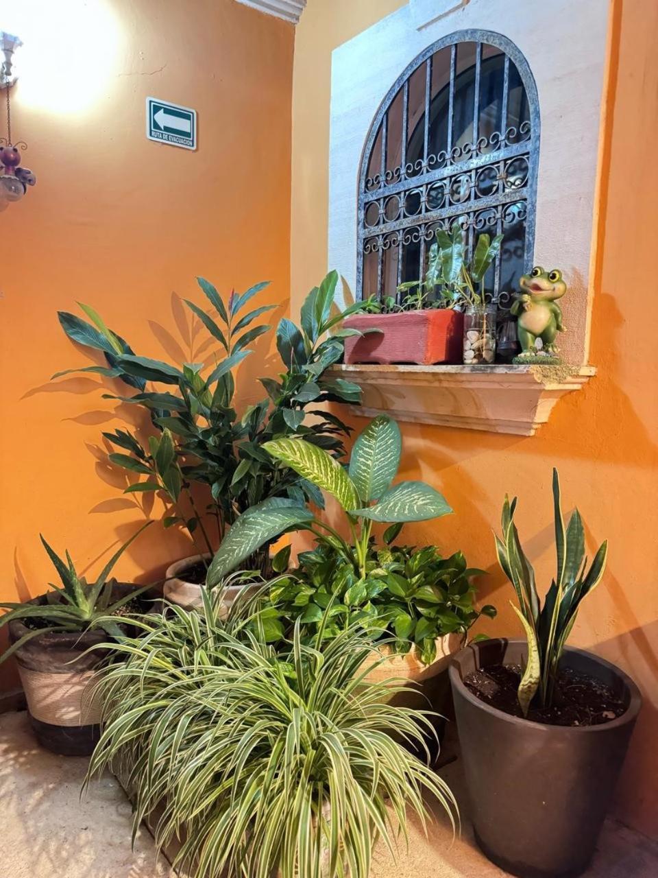 Hotel Casa Mallorca Канкун Екстер'єр фото